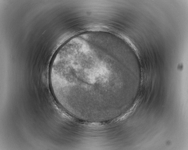 X0000098180986200805221533