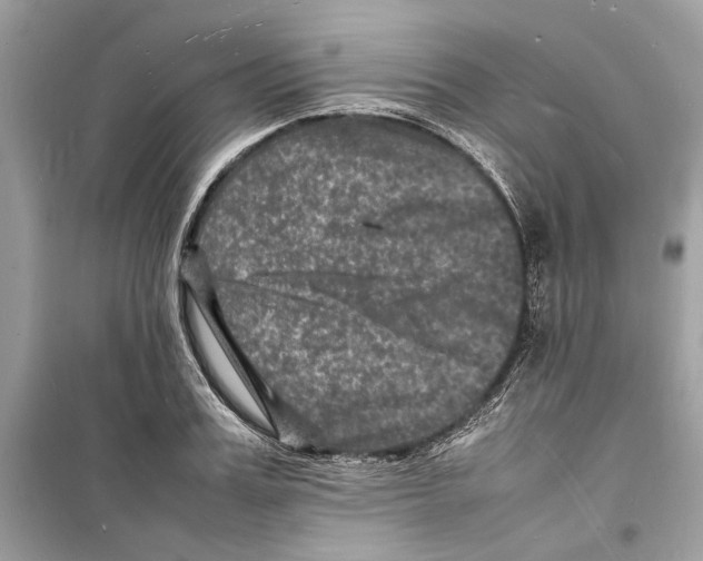 X0000098180987200805221533