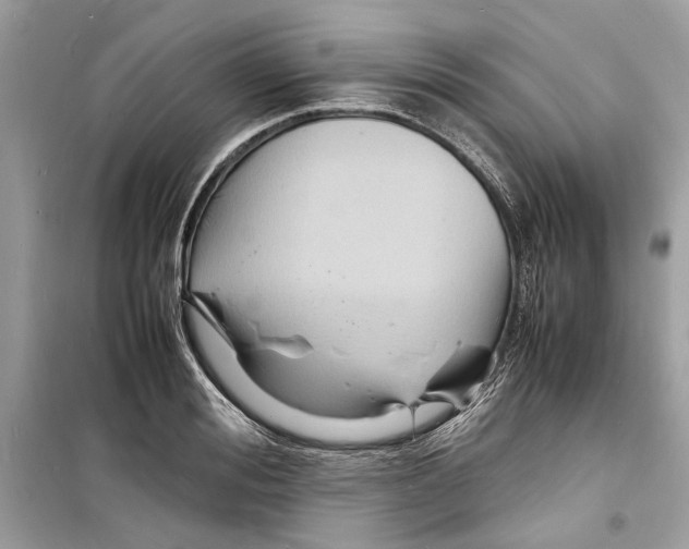 X0000098180988200805221533