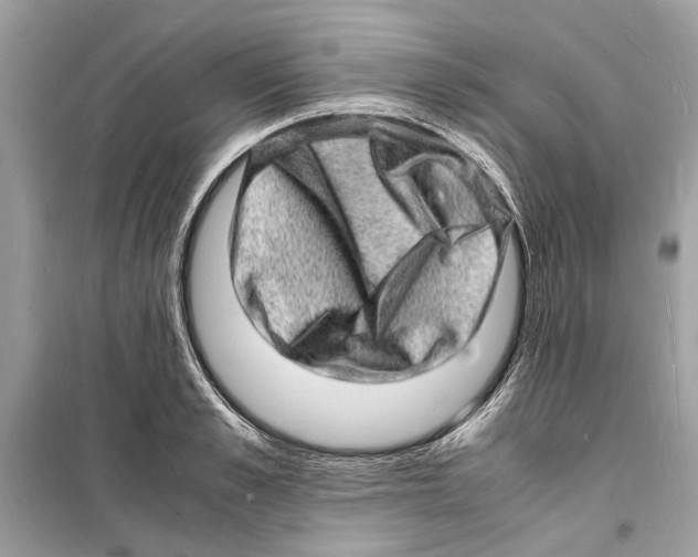 X0000098180989200805221533