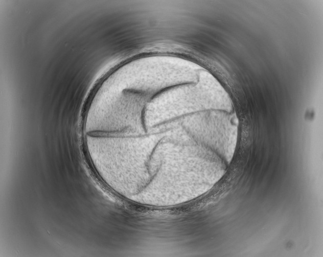 X0000098180990200805221533