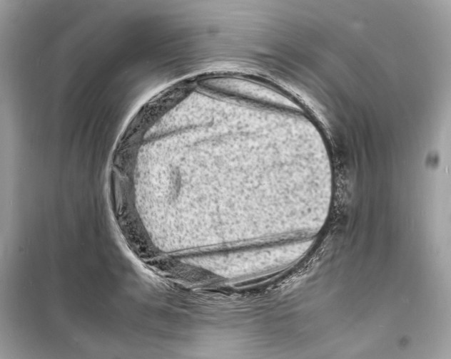 X0000098180991200805221533