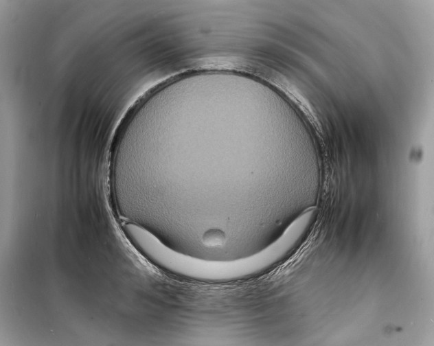 X0000098180992200805221533