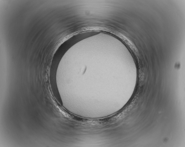 X0000098180993200805221533