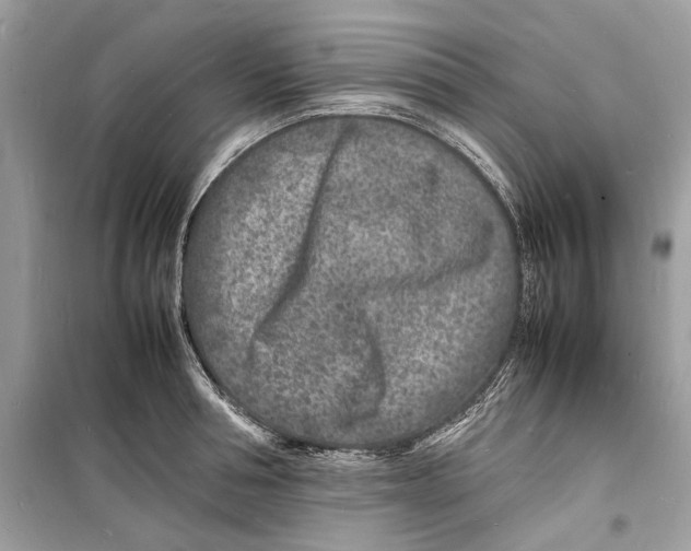 X0000098180994200805221533