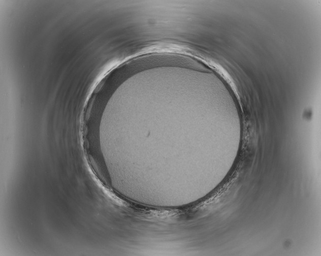 X0000098180997200805221533