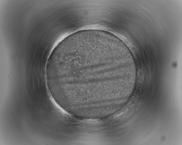 X0000098180998200805221533