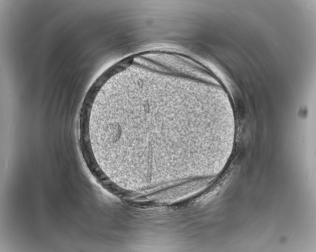 X0000098180999200805221533