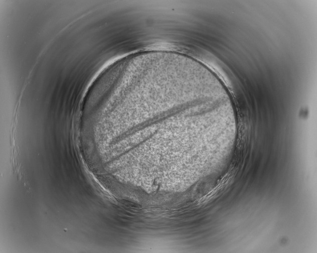 X0000098181000200805221533