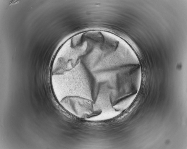 X0000098181004200805221533