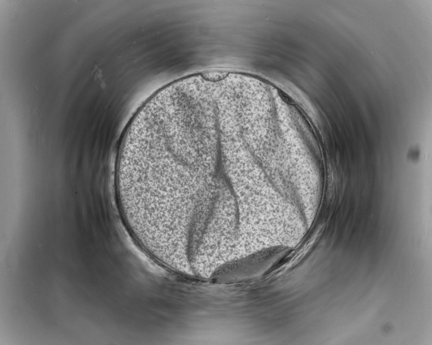 X0000098181006200805221533