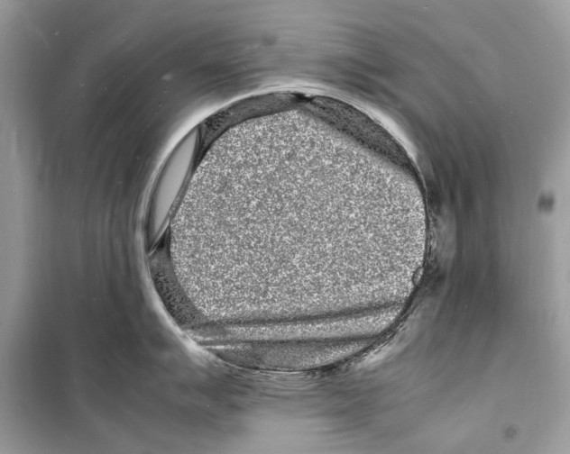 X0000098181007200805221533