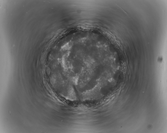 X0000098181009200805221532