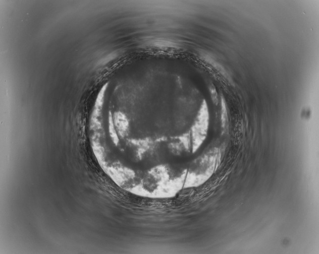 X0000098181013200805221532