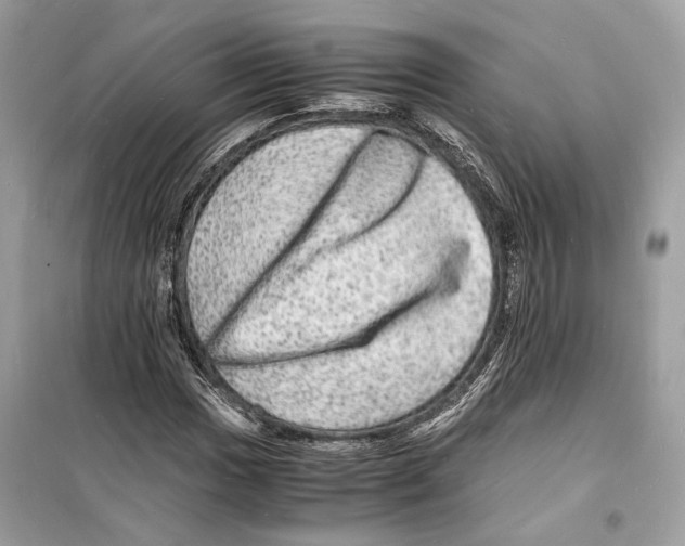 X0000098181017200805221532