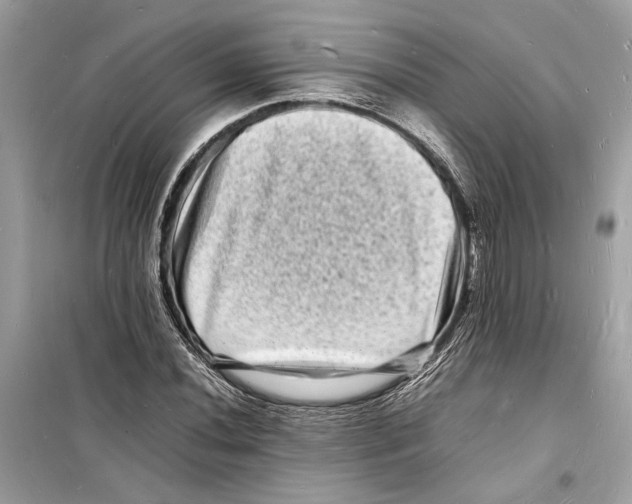 X0000098181020200805221533