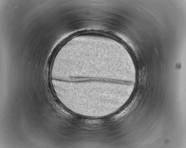 X0000098181021200805221533