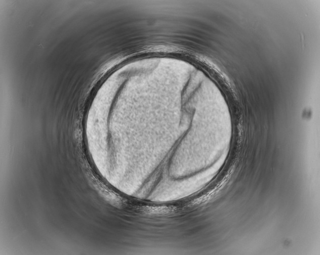 X0000098181025200805221533