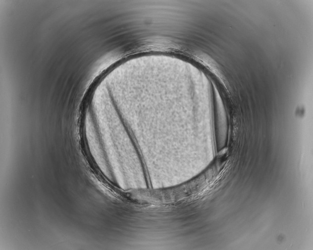 X0000098181026200805221533