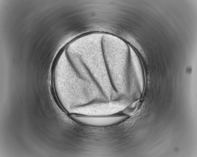 X0000098181028200805221533