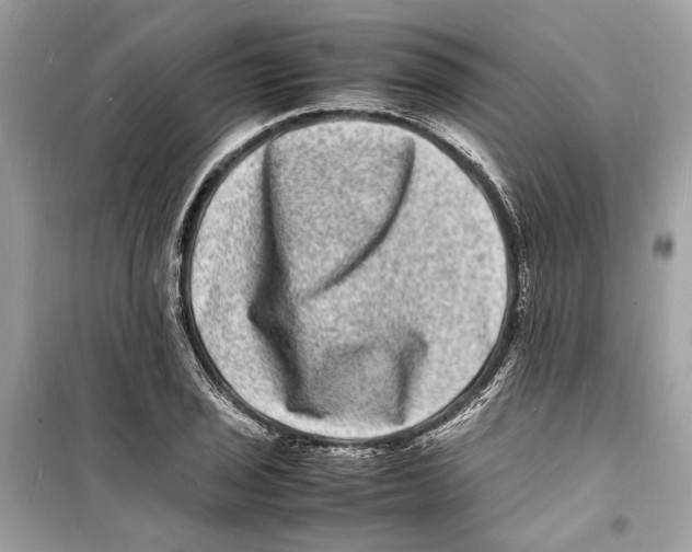 X0000098181029200805221533