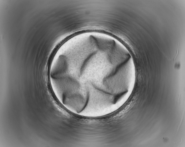 X0000098181030200805221533