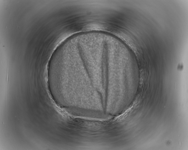 X0000098181031200805221533