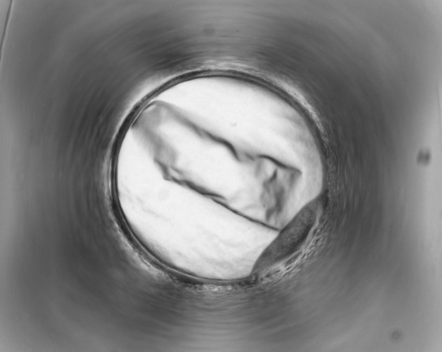 X0000098181032200805221533