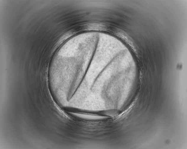 X0000098181033200805221533