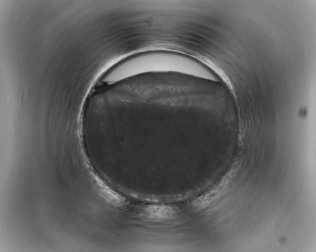 X0000098181037200805221533