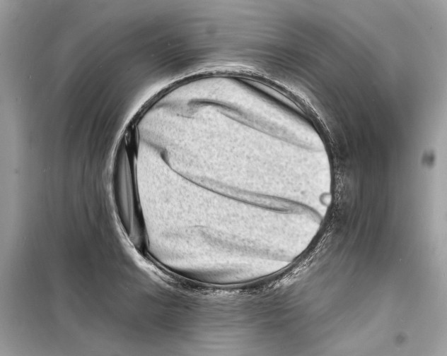 X0000098181038200805221533