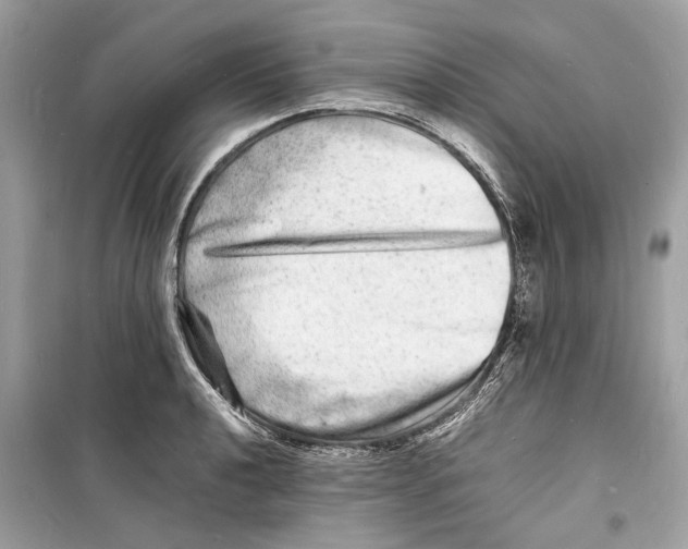 X0000098181040200805221533