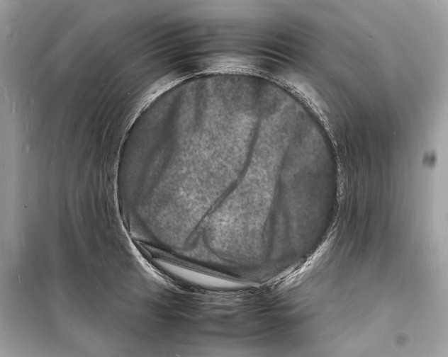 X0000098181041200805221533