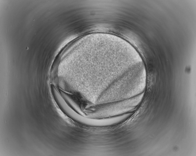 X0000098181042200805221533