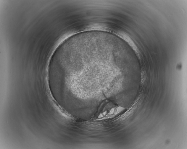 X0000098181043200805221533