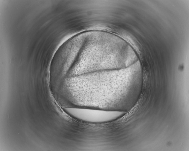 X0000098181044200805221533