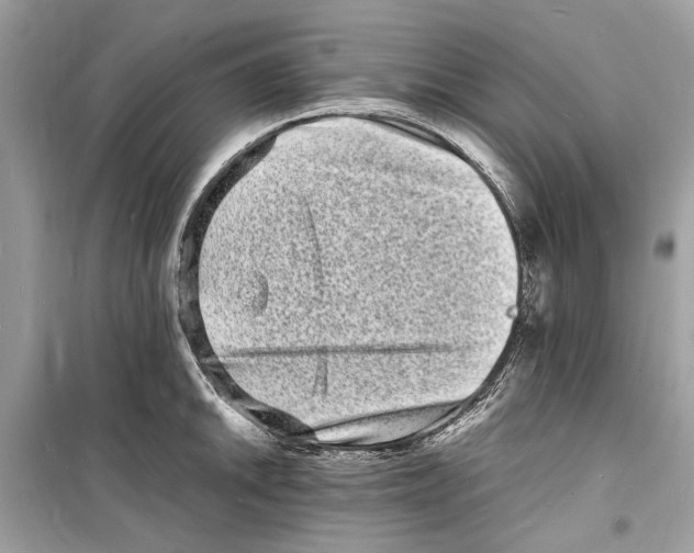 X0000098181046200805221533