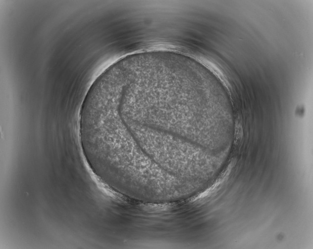 X0000098181047200805221533