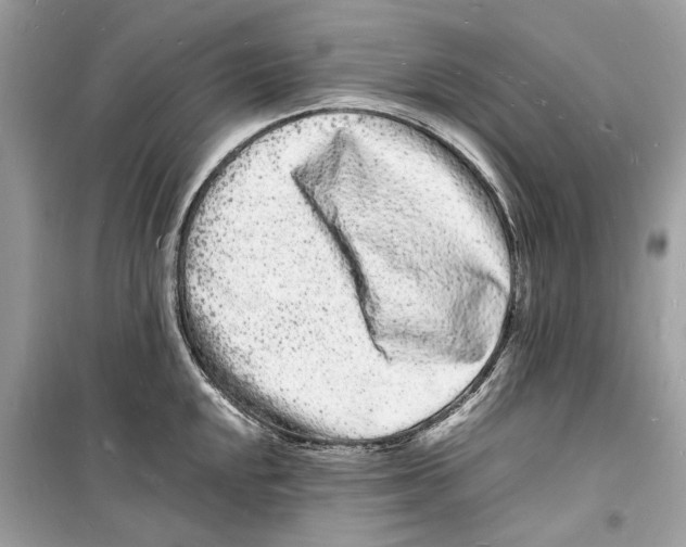 X0000098181048200805221533