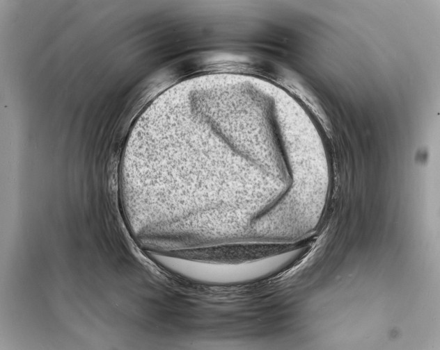 X0000098181049200805221533