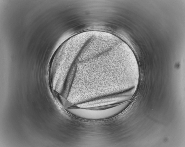 X0000098181050200805221533