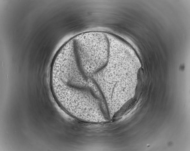 X0000098181054200805221533