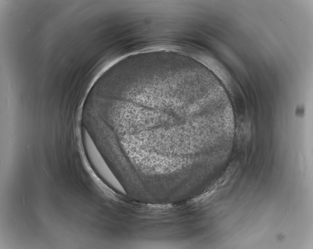 X0000098181055200805221533