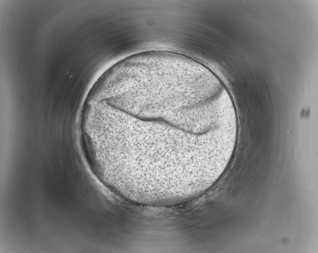 X0000098181056200805221533