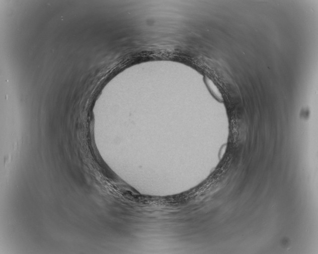 X0000098181057200805221532