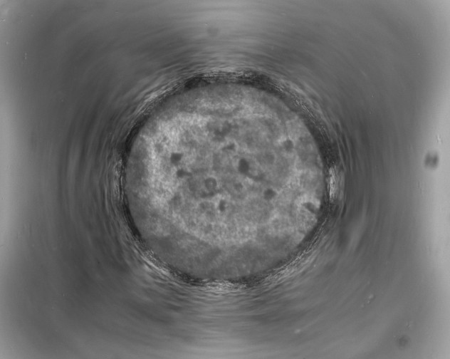 X0000098181059200805221532