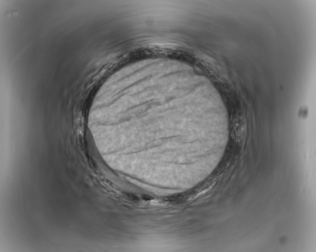 X0000098181061200805221532