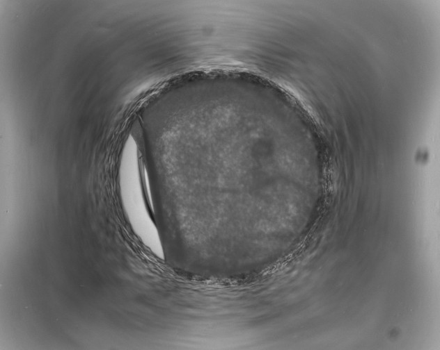 X0000098181063200805221532