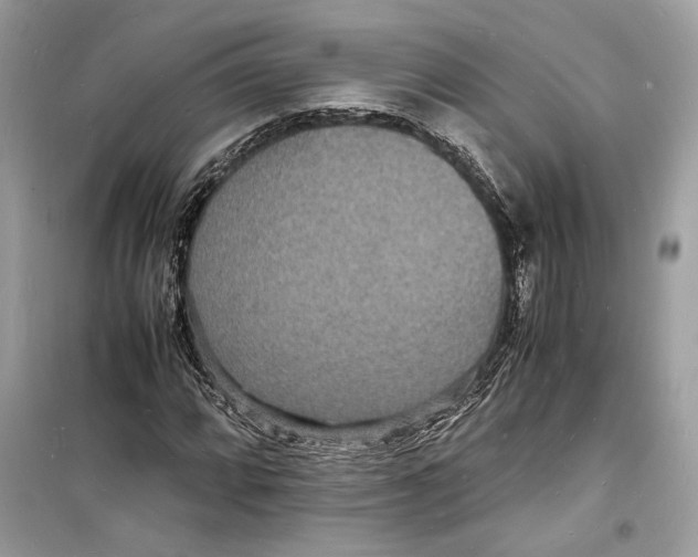 X0000098181064200805221532