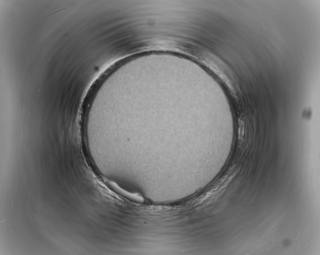 X0000098181068200805221532